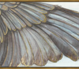 5 spectacular paintings on canvas