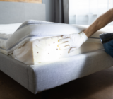 How to know if you have bed bugs: complete guide | Factory Street